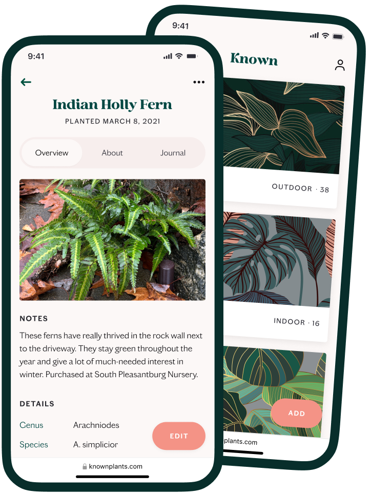 Screenshot of the Known App, showing details of an Indian Holly Fern and a list of gardens