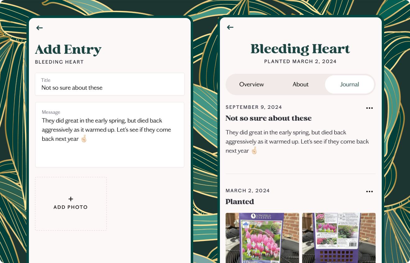 Screenshots of creating a journal entry for a plant in the Known app, and a photo of the journal for a plant, in front of a green leaf background