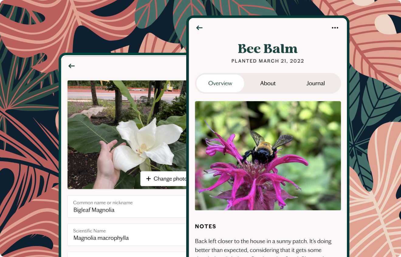 Image of the Known app displaying the details of a Bee Balm plant and a form for editing plant details in front of a background of colorful leaves